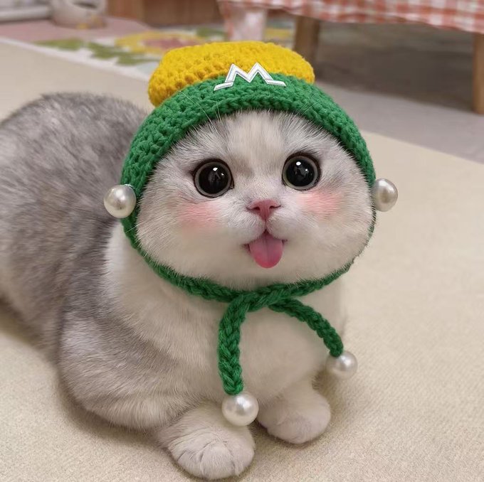 The image features a cat wearing a green hat with white polka dots and a matching scarf. The cat has its tongue out, giving off a playful and mischievous vibe. The caption of the photo reads "GM Cute mode on,bullish mood on!!! #MGBX". This suggests that the cat's outfit is designed to be cute and fun, possibly for a special occasion or just for amusement.