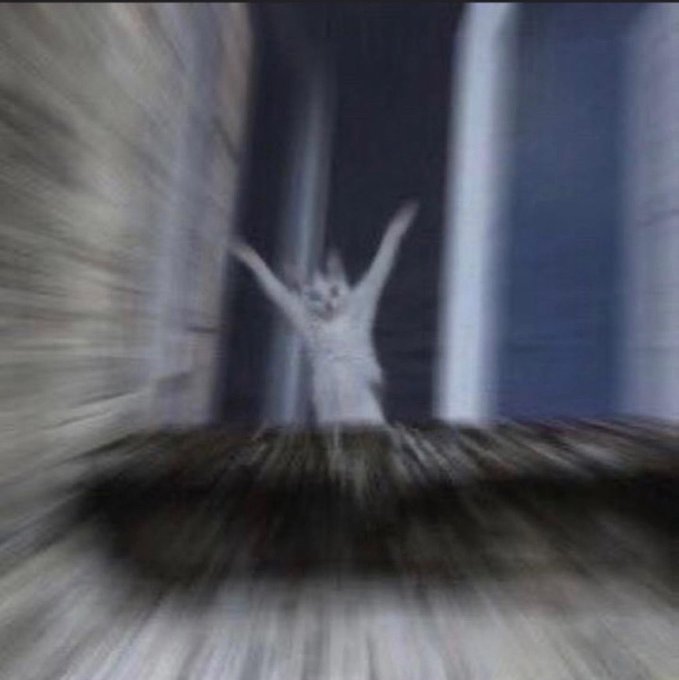 A blurry, motion-distorted image of a white cat with its arms raised in a "T-pose" like a waiting/welcoming gesture, perfectly matching the "$CASHCAT $1 WAITING ROOM" post as it visually represents the cat eagerly waiting for cash to arrive.