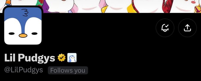 Social media profile screenshot for 'Lil Pudgys' (@LilPudgys) with a verified checkmark, a penguin emoji, and 'Follows you' indicator.