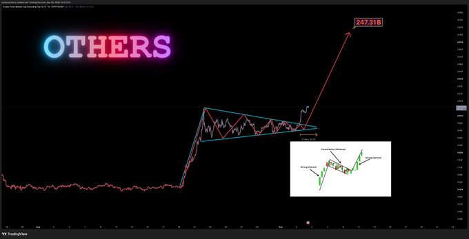A TradingView chart of Tether's market capitalization projected to 247.31B, featuring a 'Wedge Up (Bullish)' technical analysis pattern diagram with a humorous neon 'OTHERS' label overlaid on the chart.