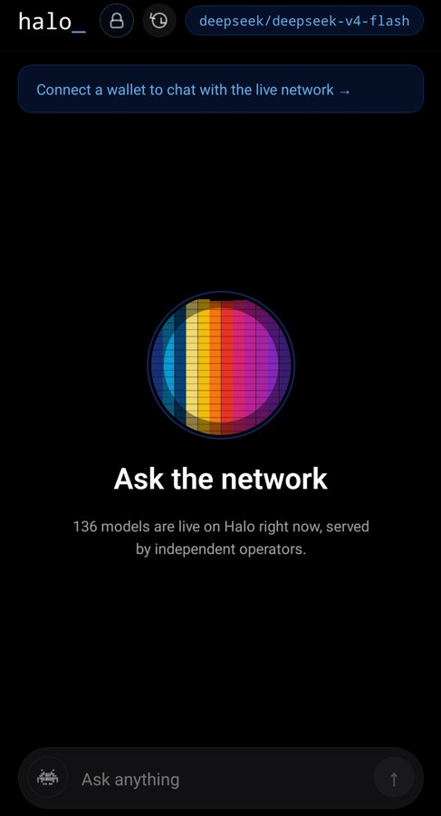 A mobile interface for an AI platform called 'halo_', currently set to model 'deepseek/deepseek-v4-flash', with the prompt 'Ask the network' and a message stating 136 models are live on Halo.