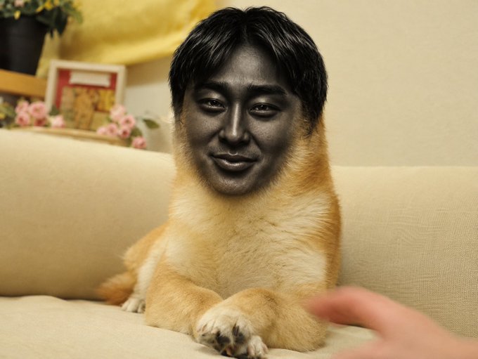 A humorous edited image of a dog sitting on a couch with a man's smiling face superimposed onto the dog's head, with a human hand reaching toward it.