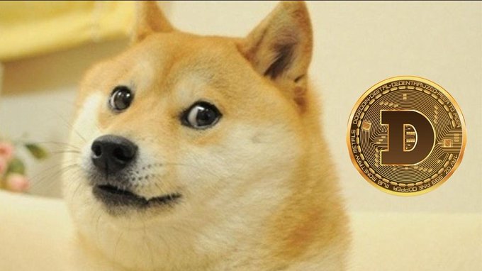A close-up of a Shiba Inu dog (commonly known as the Doge meme) with the Dogecoin cryptocurrency coin displayed on the right side.