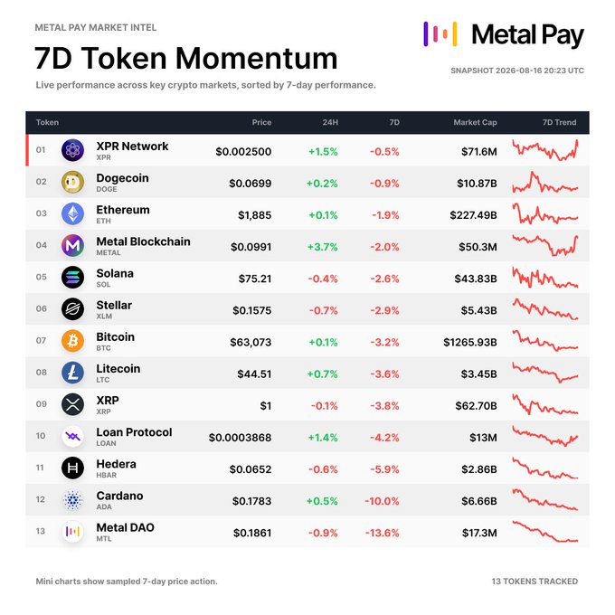 A "Metal Pay Market Intel" 7-day token momentum snapshot dated 2026-08-16 ranks 13 cryptocurrencies by 7-day performance, showing all tokens in red for the week with XPR Network leading at -0.5% and Metal DAO at the bottom at -13.6%, while highlighting Metal Blockchain's 24H gain of +3.7% as the day's top mover amid an otherwise mixed daily recovery.