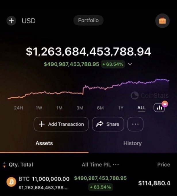 A CoinStats portfolio screenshot showing a balance of $1,263,684,453,788.94 in USD with a 63.54% gain, holding 11,000,000 BTC at $114,880.40 per coin.