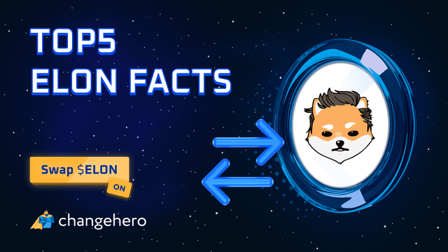 The image features a cartoon depiction of a dog with a white face, wearing sunglasses and standing against a dark blue background. The text "Top 5 Elon Facts" is written above the dog's head, while "SELON" is below its head. Below this, there are two arrows pointing towards each other in opposite directions, symbolizing the merging of two worlds or ideas. In the bottom right corner, there is a small logo for "Changehero", indicating that the image might be related to an online platform or service offering Elon facts and related content.