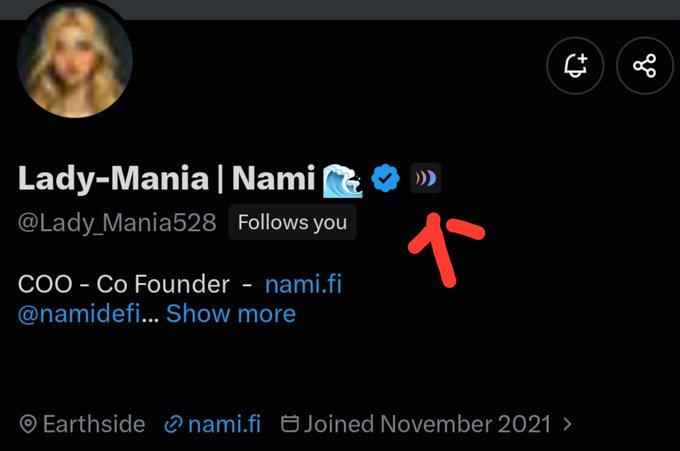 A close-up of a X profile reads “Lady-Mania | Nami,” “@Lady_Mania528,” and “COO - Co Founder - nami.fi,” with “Follows you” and “Joined November 2021” visible.