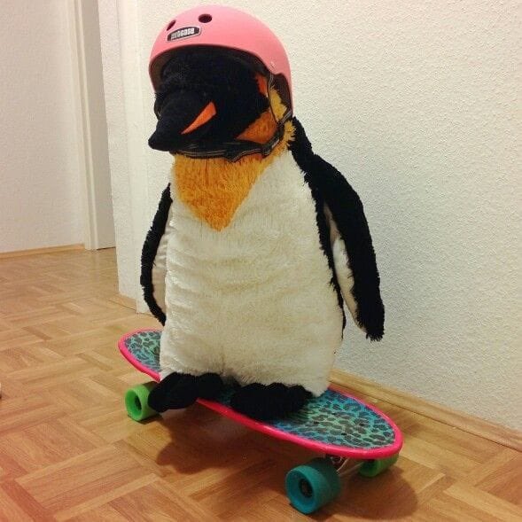 A stuffed penguin toy wearing a pink helmet, standing on a colorful skateboard on a wooden floor.