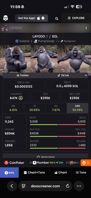 A mobile screenshot from dexscreener.com showing details for the LAY000/SOL token on PumpSwap via Pump.fun, with a price of $0.00003133 and a market cap of $295K.