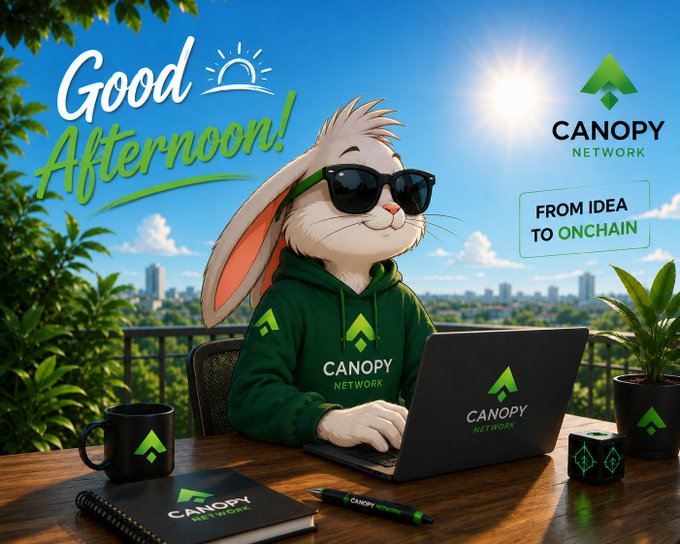 A promotional graphic featuring a rabbit in sunglasses wearing a 'Canopy Network' hoodie, working on a laptop, with text reading 'Good Afternoon!' and 'FROM IDEA TO ONCHAIN'.