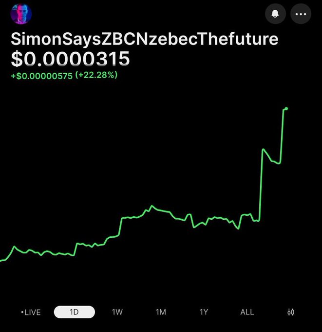 A 1-day price chart for "SimonSaysZBCNzebecThefuture" showing a current price of $0.0000315 with a +22.28% gain (+$0.00000575) over 24 hours, reflecting the post's celebration of the ZBCNS token's 24-hour rally and "BOOM" price surge.