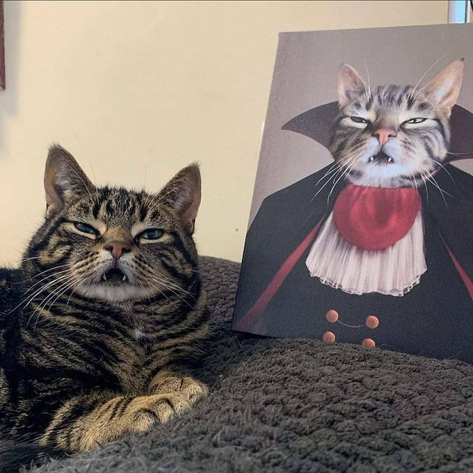 A tabby cat sits next to a painting depicting the same cat dressed as a vampire with fangs and a cape, tongue sticking out.