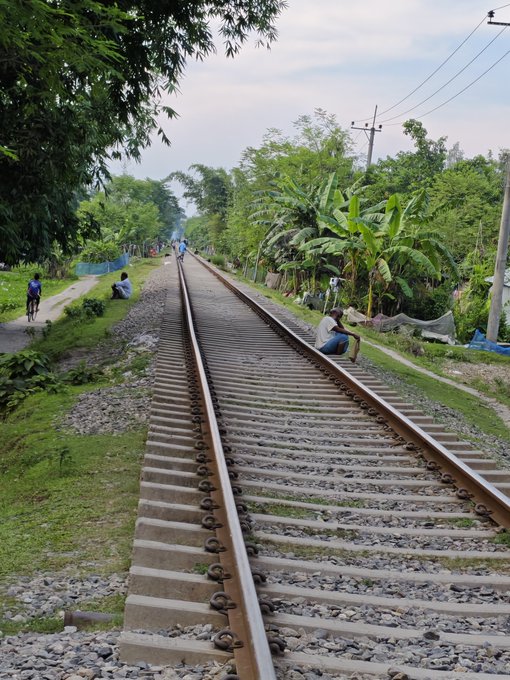 A view down a long railway track lined with green trees and vegetation, with a person sitting beside the tracks and others visible in the distance.