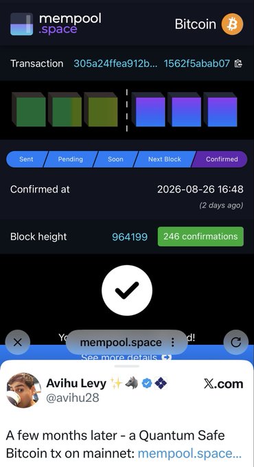 The image shows a mempool.space screenshot confirming a Bitcoin transaction (305a24ffea912b...1562f5abab07) with 246 confirmations at block height 964199, paired with a tweet from Avihu Levy (@avihu28) celebrating "a Quantum Safe Bitcoin tx on mainnet." The screenshot serves as visual proof of the milestone mentioned in the post, showcasing the first quantum-safe Bitcoin transaction successfully completed on the mainnet through StarkWare's work.