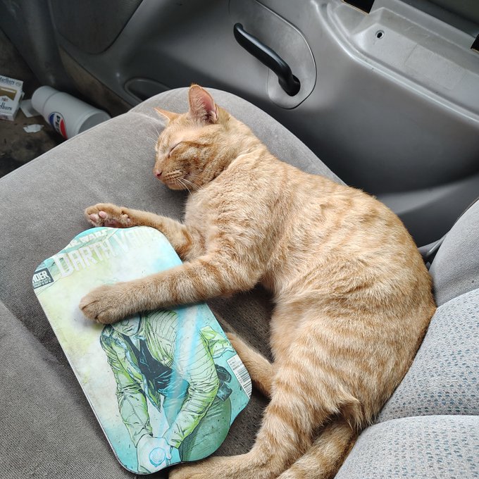 An orange tabby cat peacefully sleeping on a car seat, with its paw resting on a skateboard deck featuring artwork and the text 'DIRTY VEINS'.