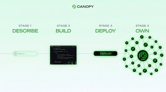 A Canopy branding graphic illustrating a four-stage process: Describe, Build, Deploy, and Own, shown with a code editor and network diagram.