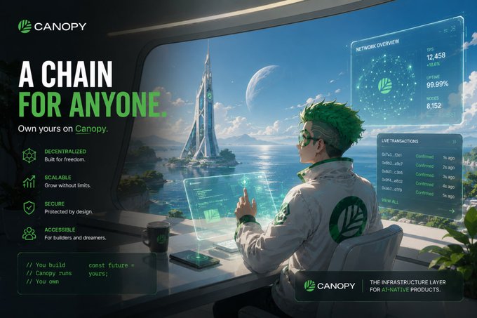 A futuristic promotional graphic for a blockchain project called 'CANOPY'. It depicts a green-haired person working at a high-tech console overlooking a futuristic city, with the tagline 'A CHAIN FOR ANYONE.' and features like 'DECENTRALIZED' and 'SCALABLE'.