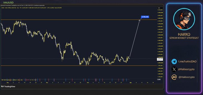 A TradingView chart of XAU/USD (Gold) shows price consolidating near the 4,099 resistance level, with an annotation projecting a potential breakout toward 4,782.58, paired with a branded panel for "HAKKO - Senior Market Strategist" featuring social handles @Hakkocryptot and t.me/hakkodAO.