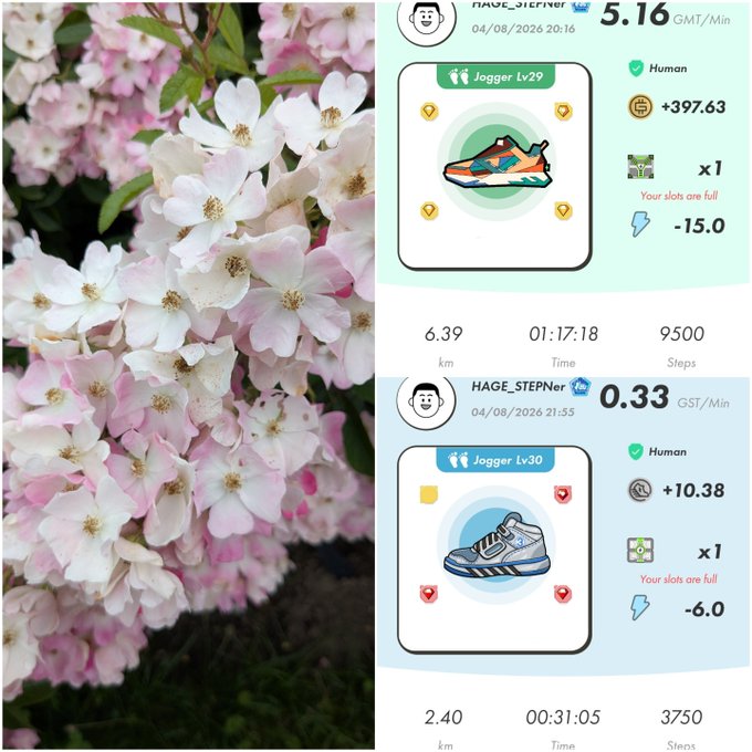 A split image showing pink and white blossoms on the left, and two Move-to-Earn app screenshots featuring sneakers with stats like 'Jogger Lv29' and 'Jogger Lv30' on the right.