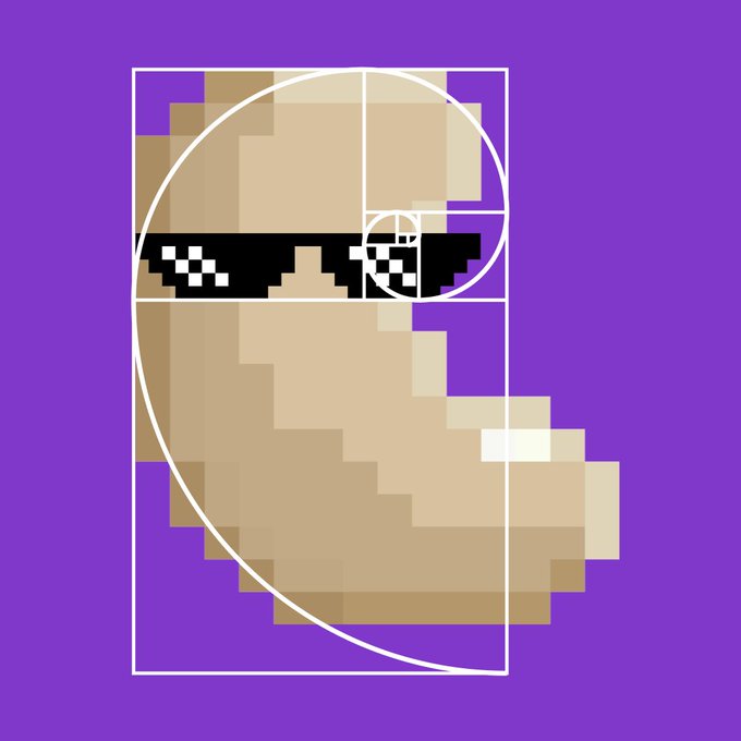 A pixelated figure wearing "deal with it" sunglasses is overlaid with a Fibonacci golden spiral on a purple background, visually representing the meme-philosophy that privacy tools like Cashu can be both technically rigorous (the mathematical precision of the spiral) and effortlessly cool (the pixel-art aesthetic)—mirroring Cashu's stated mission of pairing uncompromising privacy with polished, user-friendly design.