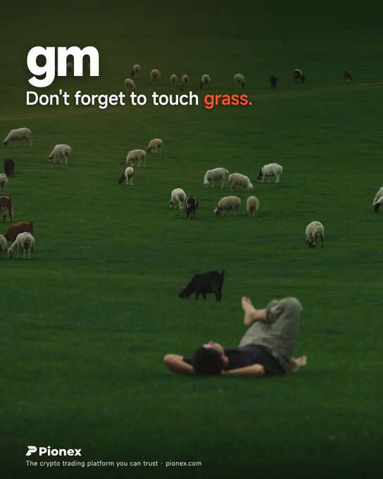 An advertisement for 'Pionex' crypto trading platform showing a person lying in a green field with grazing sheep, with the text 'gm - Don't forget to touch grass.' and 'pionex.com'.