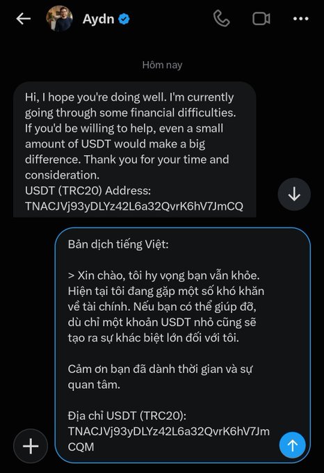 A chat message from 'Aydn' requesting USDT cryptocurrency for financial difficulties, with both English text and a Vietnamese translation, including a TRC20 wallet address.