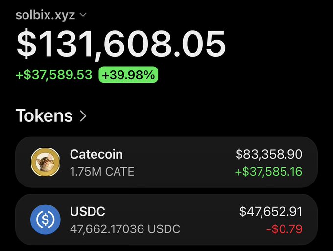 A screenshot of the solbix.xyz portfolio showing a total value of $131,608.05 (+$37,589.53 / +39.98%), held primarily in 1.75M Catecoin worth $83,358.90 and 47,662.17 USDC worth $47,652.91. The image illustrates the post's claim of substantial profit, with the CATE holdings alone showing a gain of $37,585.16.