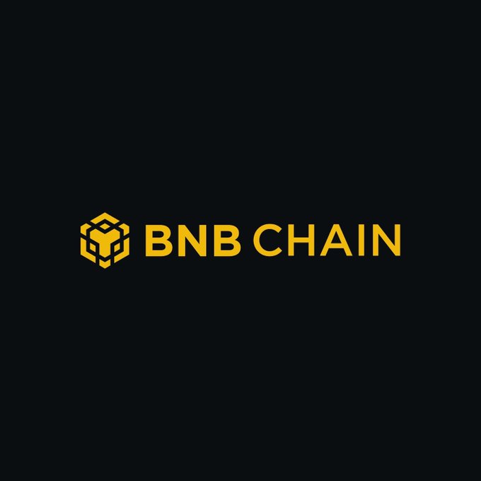 The image displays the BNB Chain logo in gold against a black background, featuring a geometric cube icon next to the text "BNB CHAIN." It accompanies news of BNB Chain becoming the first blockchain network to surpass $1 billion in tokenized stocks and ETFs.