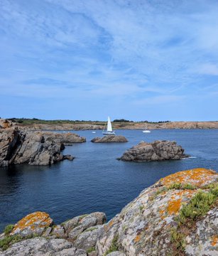 A sailboat glides past lichen-covered coastal rocks under a bright, cloudless sky, evoking the calm vitamin-D-rich serenity the post recommends for life between investment decisions. The peaceful seaside scene mirrors the post's advice to ignore the noise, enjoy simple pleasures like oysters, and focus on what truly matters beyond the markets.
