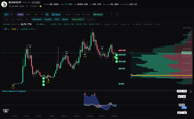 A TradingView financial chart displaying the CASH/CAT (Cat in a Dogs World) cryptocurrency price, showing candlestick data with various price levels and liquidity zones marked.