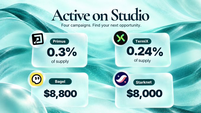 An “Active on Studio” graphic highlights four campaigns: Primus “0.3% of supply,” TermiX “0.24% of supply,” Bagel “$8,800,” and Starknet “$8,000.”