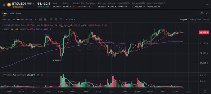 A cryptocurrency price chart for BTCUSD on BingX showing the current price at 64,132.5, with candlestick data, moving averages (MA20, MA50, MA200), and volume bars displayed.
