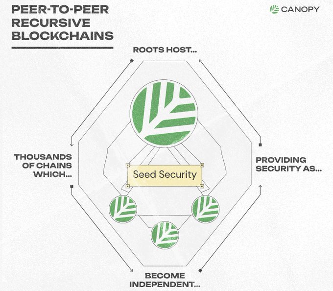 A diagram titled 'PEER-TO-PEER RECURSIVE BLOCKCHAINS' by Canopy, showing a hexagonal structure with 'Seed Security' and labels for Roots Host, Thousands of Chains, Providing Security, and Become Independent.