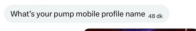 A chat bubble reading 'What's your pump mobile profile name' with '48 dk' indicating 48 days ago.