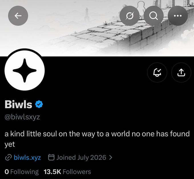 A Twitter/X profile for 'Biwls' (@biwlsxyz) with a verified blue checkmark shows the bio 'a kind little soul on the way to a world no one has found yet' with 13.5K followers.