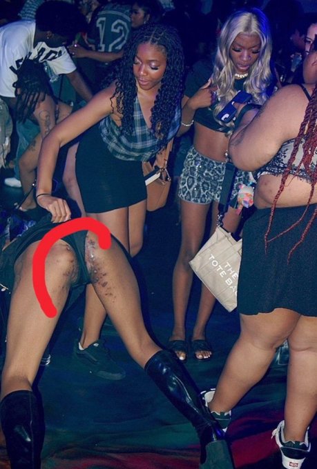A red circle highlights exposed genitalia of a woman in a crowd at what appears to be a nightclub. The accompanying post claims this is Ansem's girlfriend, alleging she received tokens from him after a sexual encounter and did not get an airdrop.
