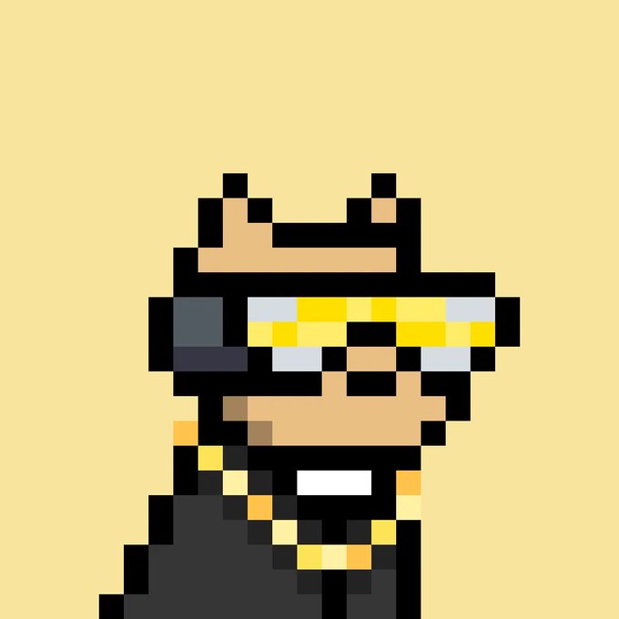 A pixel art style portrait of a character wearing yellow sunglasses and a black shirt with yellow trim against a solid yellow background.