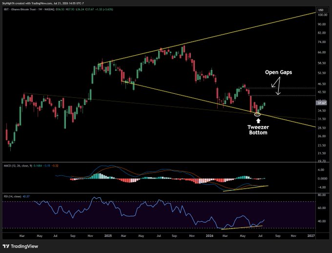 A weekly TradingView chart of IBIT (iShares Bitcoin Trust) showing a "Tweezer Bottom" pattern near $36.53 and "Open Gaps" overhead around $44.25–$46.50, with bullish divergence signals on the MACD and RSI indicators, illustrating the post's claim of a first-ever weekly bullish divergence and tweezer bottom forming on Bitcoin spot ETFs ahead of a potential Q4 reversal.