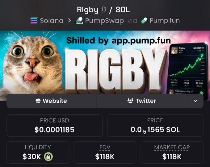 Solana-based meme token 'Rigby' on PumpSwap via Pump.fun, with a cat image and 'RIGBY' logo; showing Price USD $0.0001185, Liquidity $30K, FDV $118K, and Market Cap $118K.