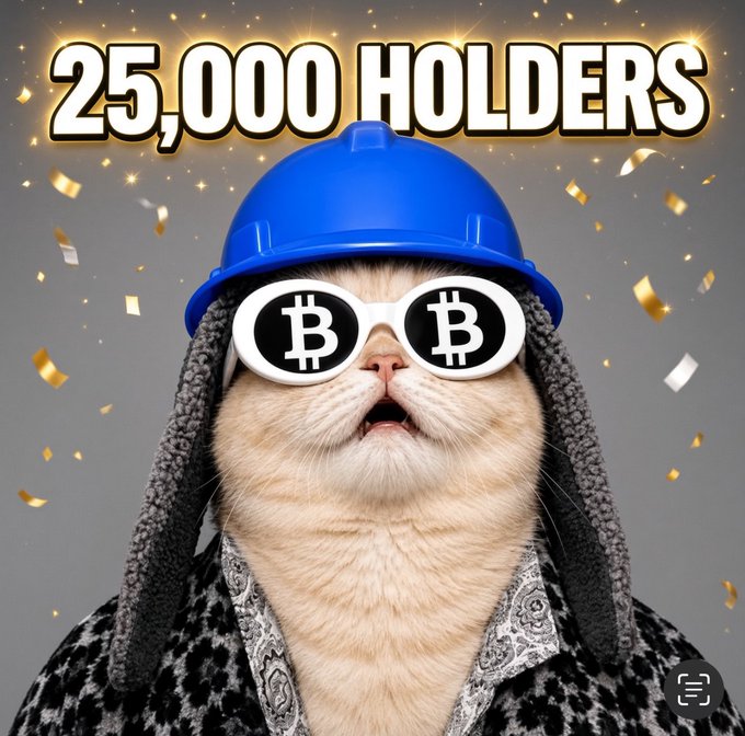A cat wearing a blue construction hard hat and Bitcoin-themed sunglasses appears with the text "25,000 HOLDERS" prominently displayed at the top, with celebratory gold confetti in the background. The image visually celebrates the $BASECAT token reaching its 25,000 holder milestone, with the cat's "builder" aesthetic complementing the achievement announcement.