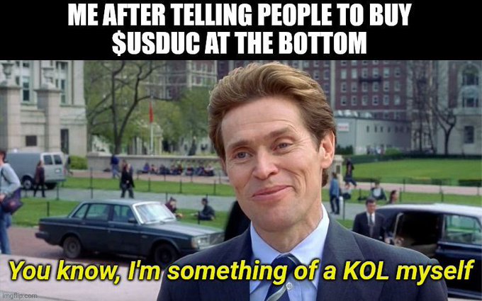 A meme featuring Willem Dafoe with text 'ME AFTER TELLING PEOPLE TO BUY $USDUC AT THE BOTTOM' and 'You know, I'm something of a KOL myself'.