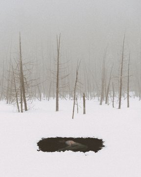 A snowy landscape with bare, frost-covered trees in the background and a dark hole in the snow in the foreground, with a partially visible hand reaching out.