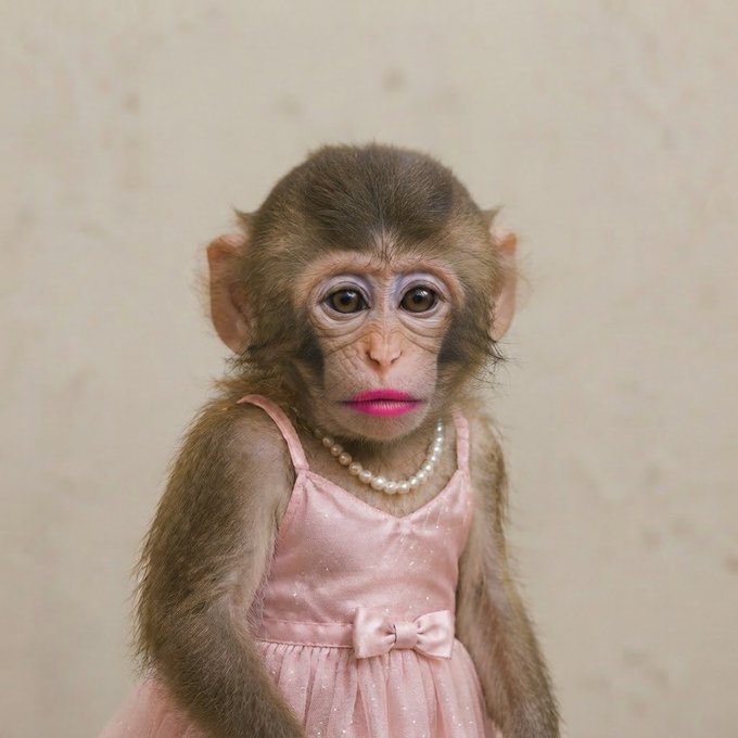 A baby monkey wearing a pink dress and pearl necklace with pink lipstick against a beige background.