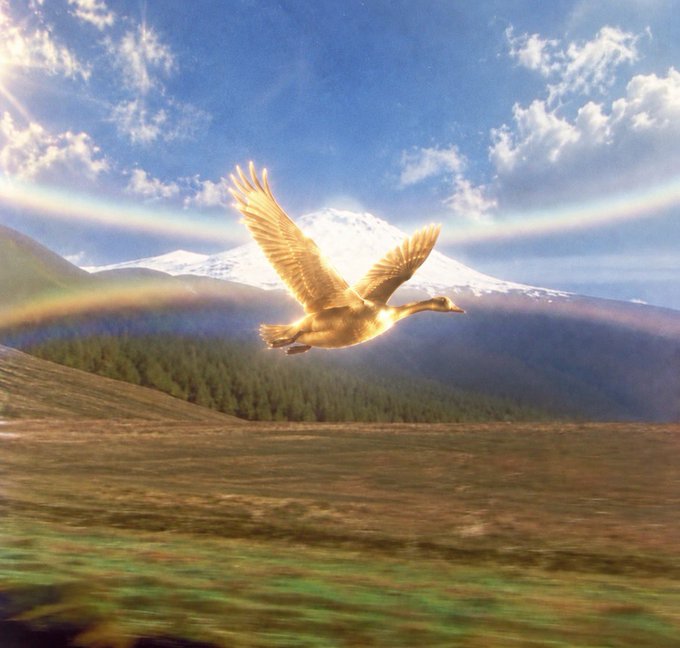 A golden goose soars over a misty mountain landscape with a faint rainbow arching across the sky, fittingly symbolizing the mythical $GG token as a precious, soaring "reflective asset." The image replaces typical trading charts with artistic symbolism, reinforcing the post's message that crypto creativity and fun outshine staring at compression charts.