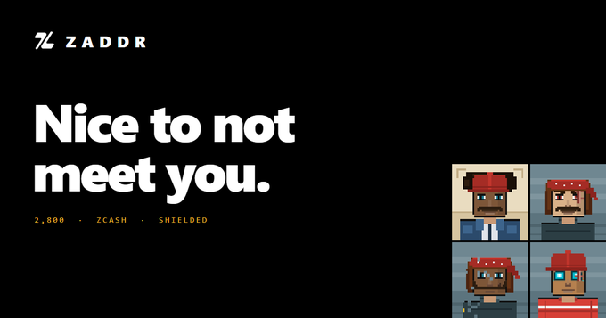 A black digital advertisement features pixel-art pirate characters alongside the text 'ZADDR', 'Nice to not meet you.', and the metadata '2,800 - ZCASH - SHIELDED'.
