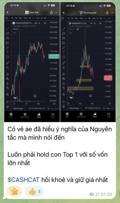 A social media post showing two cryptocurrency charts for 'CASHCAT' and 'HM...WETH' alongside Vietnamese text discussing holding top-performing assets.