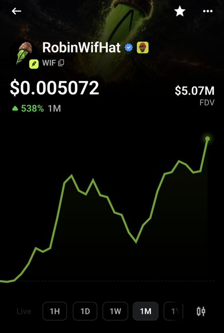 A price chart for the $WIF (RobinWifHat) token shows it trading at $0.005072 with a 538% gain over the past month and a $5.07M fully diluted valuation, illustrating the post's claim about $WIF leading the charge onchain. The "hat stays onchain" caption is reinforced by the token's name, RobinWifHat, prominently displayed at the top of the chart.