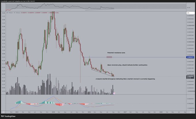 A TradingView chart of SUI/USD on Binance shows a massive bullish divergence after a prolonged downtrend from its 2025 peak of ~$5.38, with price stabilizing around $0.00001-0.00002 and annotations indicating "Potential resistance zone" and "Massive reversion play, should indicate further continuation."