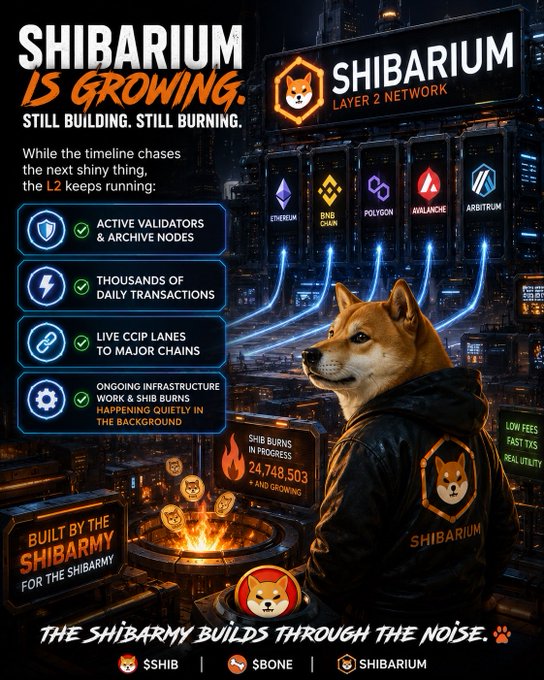 A promotional graphic for Shibarium Layer 2 Network features a Shiba Inu in a leather jacket standing before a cyberpunk cityscape, highlighting key stats like "Active Validators & Archive Nodes," "Thousands of Daily Transactions," "Live CCIP Lanes to Major Chains" (Ethereum, BNB Chain, Polygon, Avalanche, Arbitrum), and a "SHIB Burns In Progress" counter showing 24,748,503. The bold headline "SHIBARIUM IS GROWING. STILL BUILDING. STILL BURNING." and footer tagline "The ShibArmy builds through the noise" reinforce the post's message that Shibarium continues its infrastructure work and token burns regardless of broader crypto market trends, showcasing the tickers $SHIB, $BONE, and SHIBARIUM.