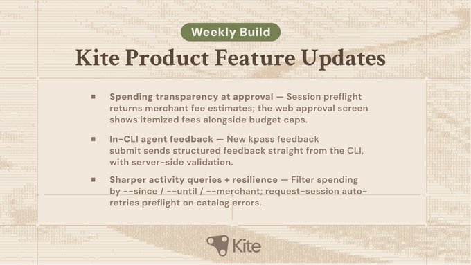 The image features a poster for a product feature update, which appears to be related to kites or kite-related products. The poster displays text that reads "Weekly Build" followed by an explanation of the feature update, stating that it is a "weekly build" and includes details about how much it costs and what users can expect from the update.